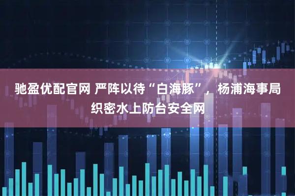 驰盈优配官网 严阵以待“白海豚”，杨浦海事局织密水上防台安全网
